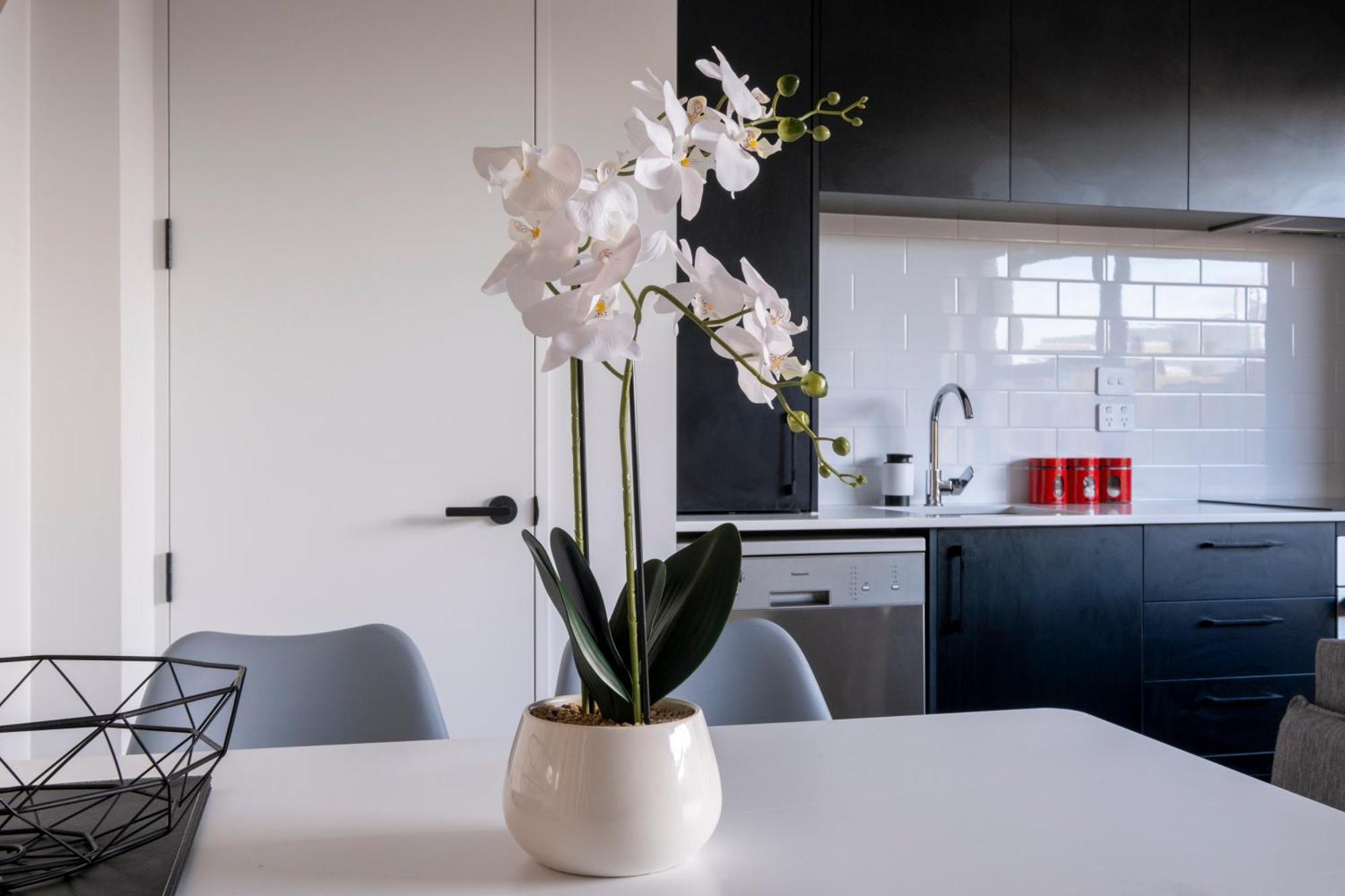 Luxury 2 Bed Townhome In Cbd Christchurch Exteriör bild