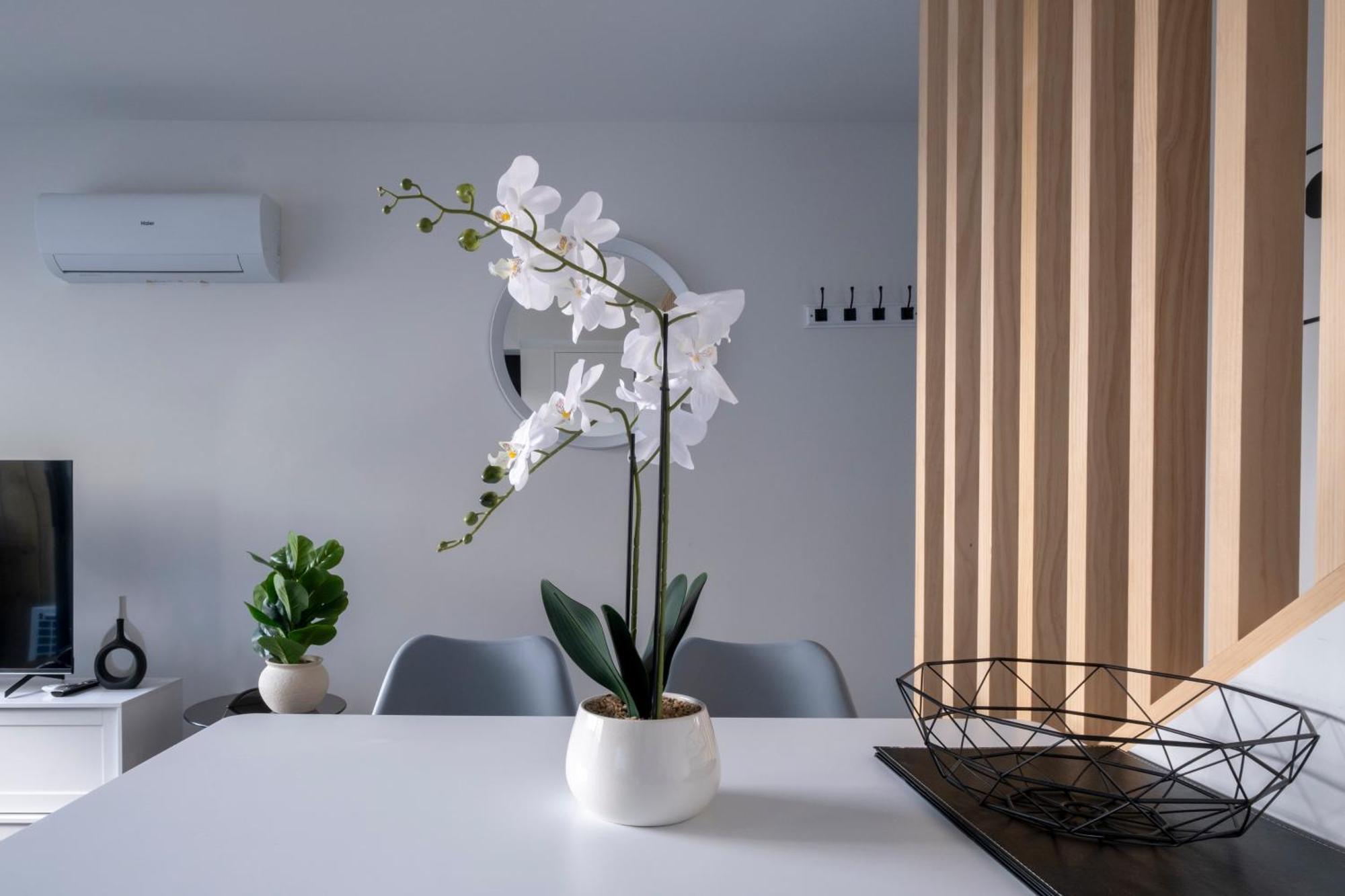 Luxury 2 Bed Townhome In Cbd Christchurch Exteriör bild