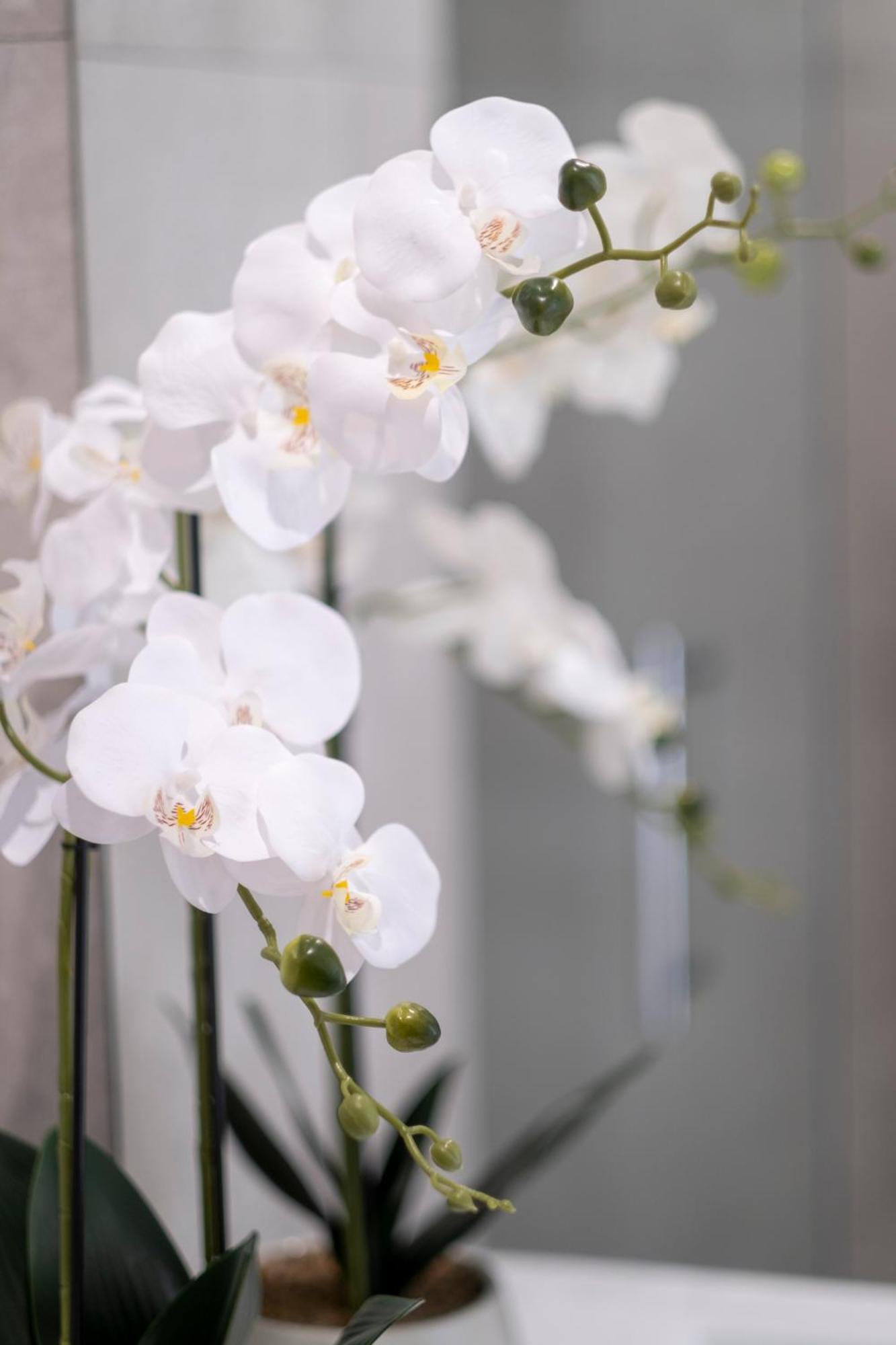 Luxury 2 Bed Townhome In Cbd Christchurch Exteriör bild
